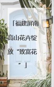 福建屏南高山花卉绽放“致富花”