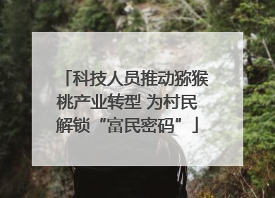 科技人员推动猕猴桃产业转型 为村民解锁“富民密码”