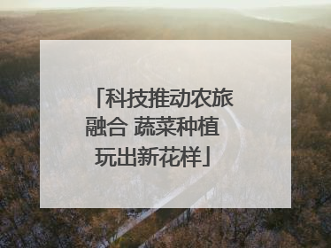 科技推动农旅融合 蔬菜种植玩出新花样
