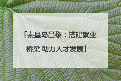 秦皇岛昌黎：搭建就业桥梁 助力人才发展