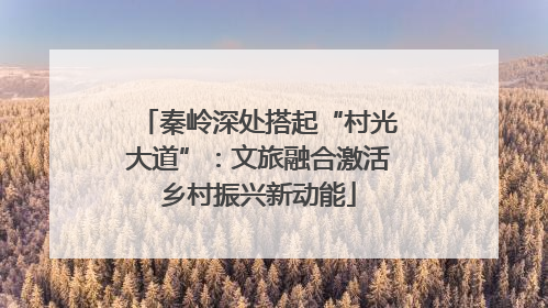 秦岭深处搭起“村光大道”：文旅融合激活乡村振兴新动能