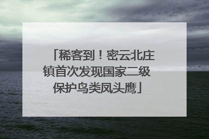 稀客到！密云北庄镇首次发现国家二级保护鸟类凤头鹰