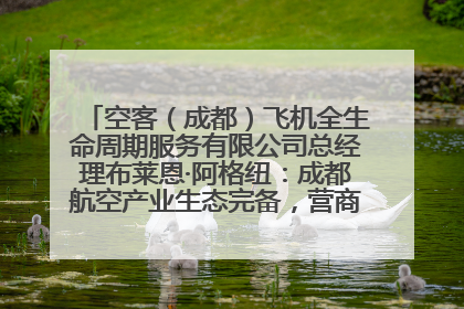 空客（成都）飞机全生命周期服务有限公司总经理布莱恩·阿格纽：成都航空产业生态完备，营商环境优势显著