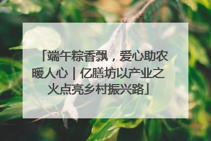 端午粽香飘，爱心助农暖人心｜亿膳坊以产业之火点亮乡村振兴路