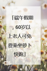端午假期，60岁以上老人可免费乘坐萝卜快跑