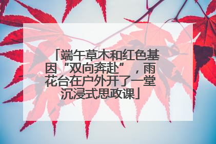 端午草木和红色基因“双向奔赴”，雨花台在户外开了一堂沉浸式思政课