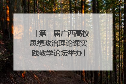 第一届广西高校思想政治理论课实践教学论坛举办