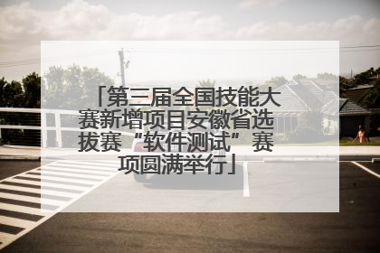 第三届全国技能大赛新增项目安徽省选拔赛“软件测试”赛项圆满举行