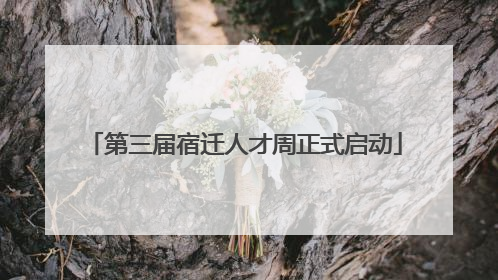 第三届宿迁人才周正式启动