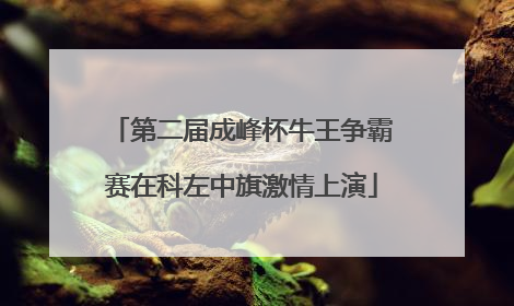 第二届成峰杯牛王争霸赛在科左中旗激情上演