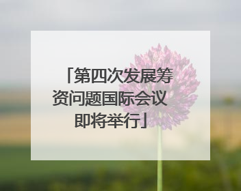 第四次发展筹资问题国际会议即将举行