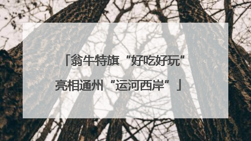 翁牛特旗“好吃好玩”亮相通州“运河西岸”
