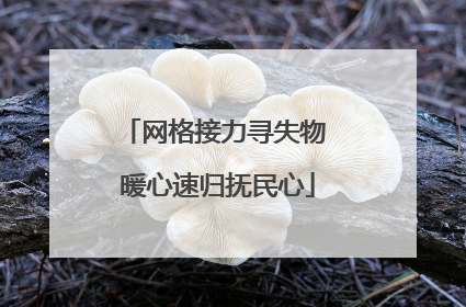 网格接力寻失物 暖心速归抚民心