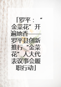 罗平：“金菜花”开遍地香——罗平县创新推行“金菜花”人大代表议事会履职行动