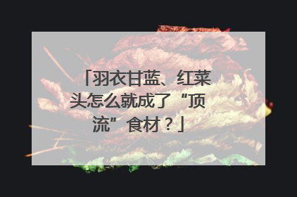 羽衣甘蓝、红菜头怎么就成了“顶流”食材？