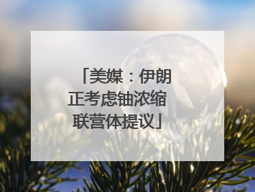 美媒：伊朗正考虑铀浓缩联营体提议