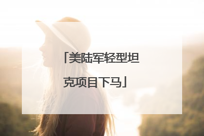 美陆军轻型坦克项目下马