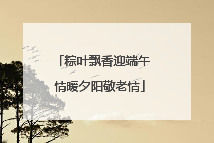 粽叶飘香迎端午 情暖夕阳敬老情