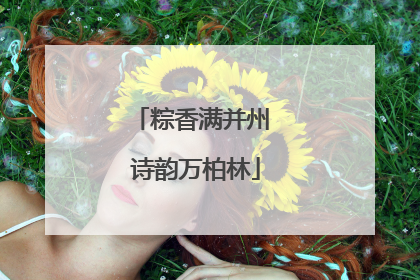 粽香满并州 诗韵万柏林