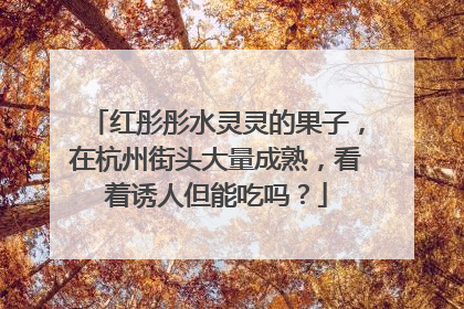 红彤彤水灵灵的果子，在杭州街头大量成熟，看着诱人但能吃吗？