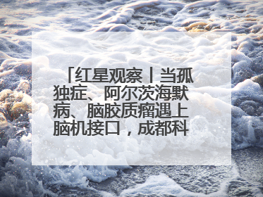 红星观察丨当孤独症、阿尔茨海默病、脑胶质瘤遇上脑机接口，成都科研改变医学图景