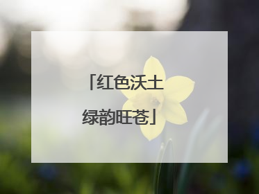 红色沃土 绿韵旺苍