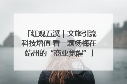 红观五溪｜文旅引流 科技增值 看一颗杨梅在靖州的“商业觉醒”