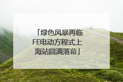 绿色风暴再临 FE电动方程式上海站圆满落幕