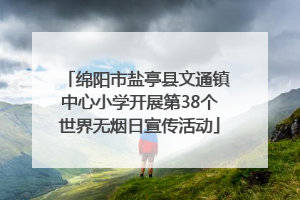 绵阳市盐亭县文通镇中心小学开展第38个世界无烟日宣传活动
