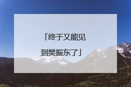 终于又能见到樊振东了