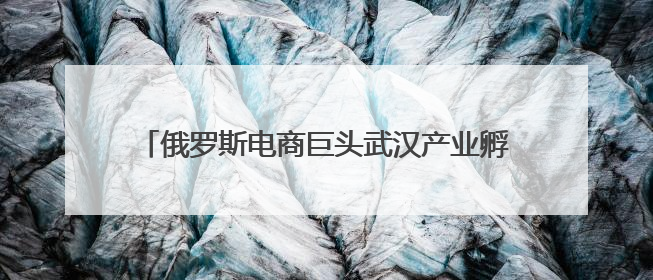 俄罗斯电商巨头武汉产业孵化基地落地江夏，今年预计入驻上千家湖北跨境卖家