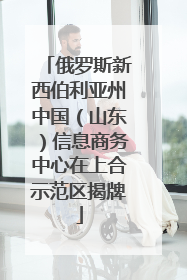 俄罗斯新西伯利亚州中国（山东）信息商务中心在上合示范区揭牌