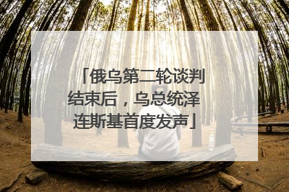 俄乌第二轮谈判结束后，乌总统泽连斯基首度发声