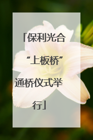 保利光合“上板桥”通桥仪式举行