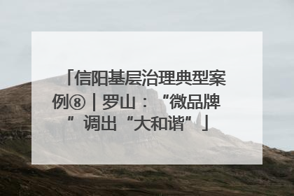 信阳基层治理典型案例⑧｜罗山：“微品牌”调出“大和谐”