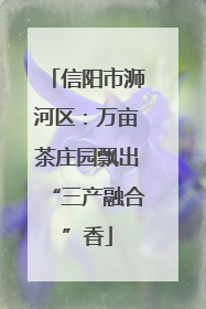 信阳市浉河区：万亩茶庄园飘出“三产融合”香