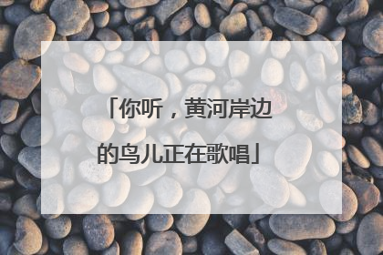 你听，黄河岸边的鸟儿正在歌唱