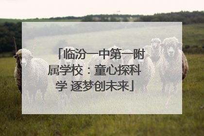 临汾一中第一附属学校：童心探科学 逐梦创未来