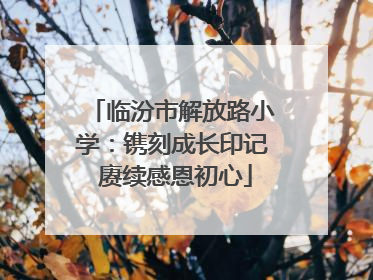 临汾市解放路小学：镌刻成长印记 赓续感恩初心