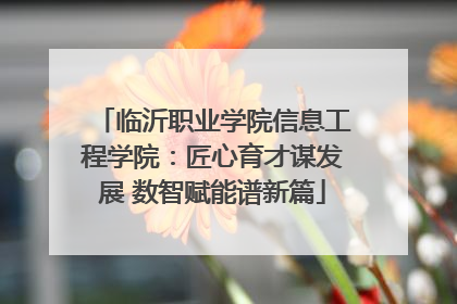 临沂职业学院信息工程学院：匠心育才谋发展 数智赋能谱新篇