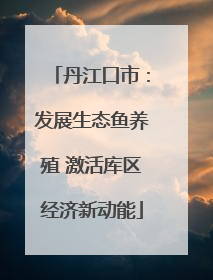 丹江口市：发展生态鱼养殖 激活库区经济新动能