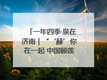 一年四季·泉在济南｜“‘赫’你在一起 中国颐莲喷雾节”盛大开启 共赴水润之约