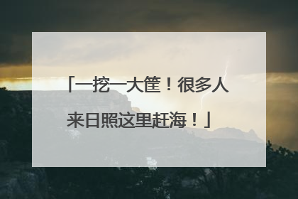 一挖一大筐！很多人来日照这里赶海！