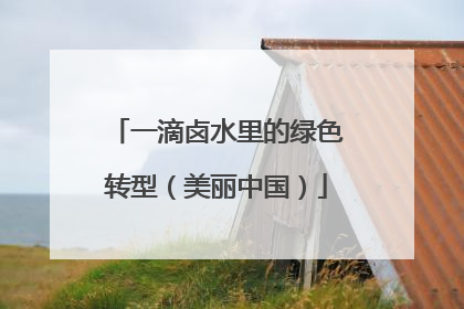 一滴卤水里的绿色转型（美丽中国）