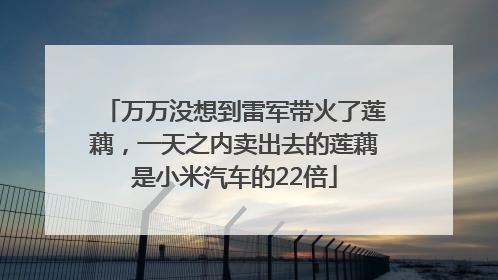 万万没想到雷军带火了莲藕，一天之内卖出去的莲藕是小米汽车的22倍