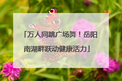 万人同跳广场舞！岳阳南湖畔跃动健康活力