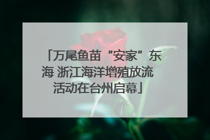 万尾鱼苗“安家”东海 浙江海洋增殖放流活动在台州启幕