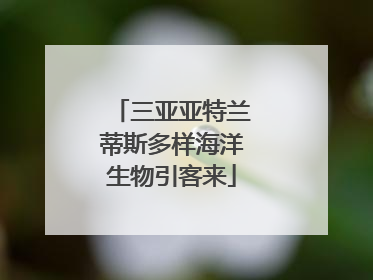 三亚亚特兰蒂斯多样海洋生物引客来