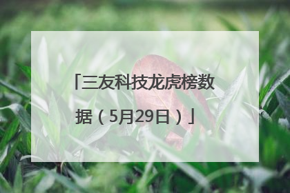 三友科技龙虎榜数据（5月29日）