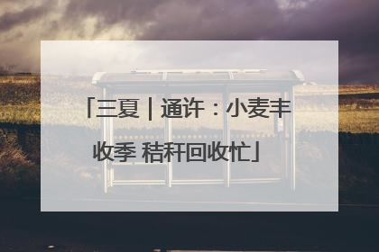三夏｜通许：小麦丰收季 秸秆回收忙